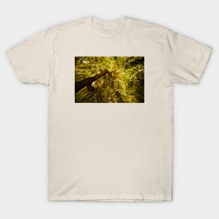 Fairy tree T-Shirt